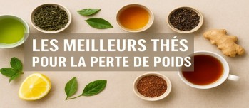 Les meilleurs thés pour la perte de poids : guide complet